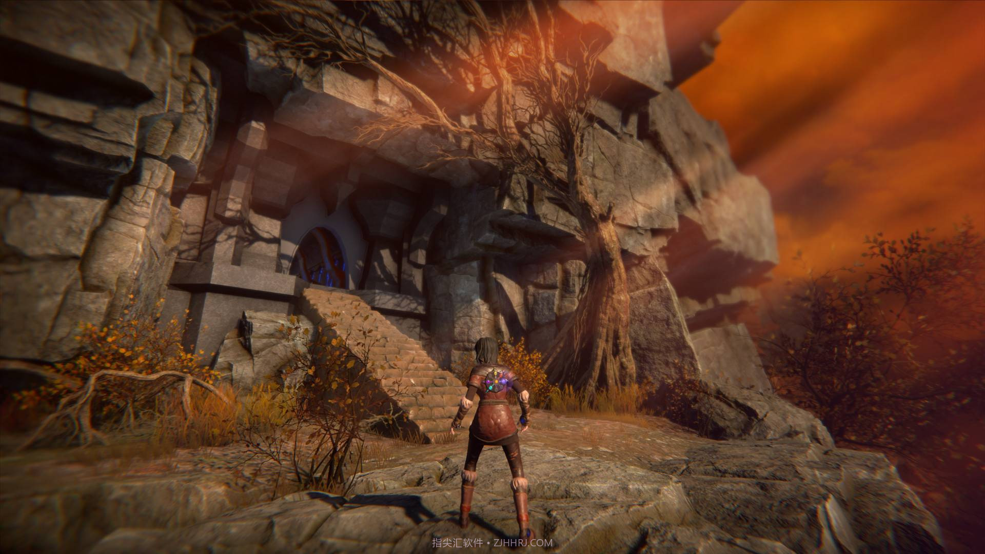 生命之种SeedofLife手机版截图3