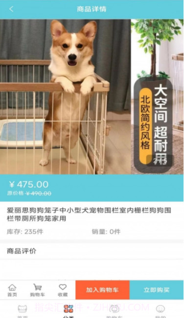 宠粉截图2 宠粉截图2