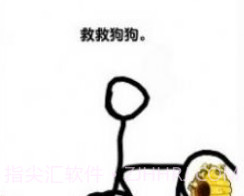 我的狗狗狗头肿了么截图2 我的狗狗狗头肿了么截图2