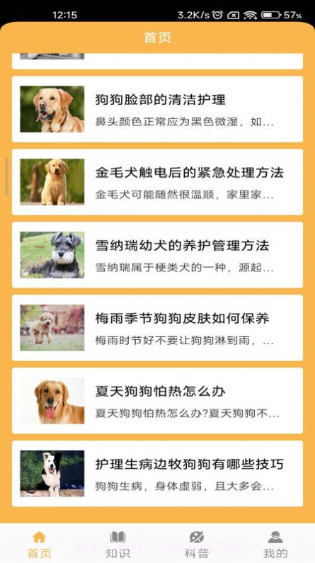 旺旺历险记截图2