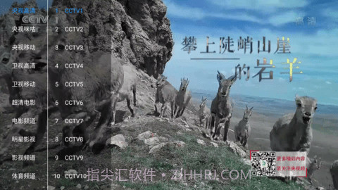 新喵影视定制版截图2