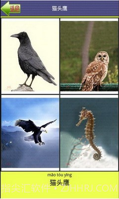 看图识字动物篇截图3