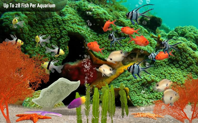 我的深海水族箱3D截图2 我的深海水族箱3D截图2