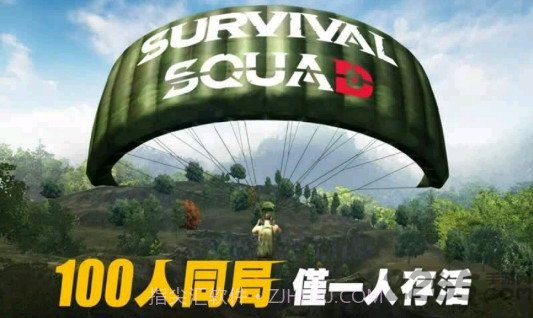 生存小队单机版截图1