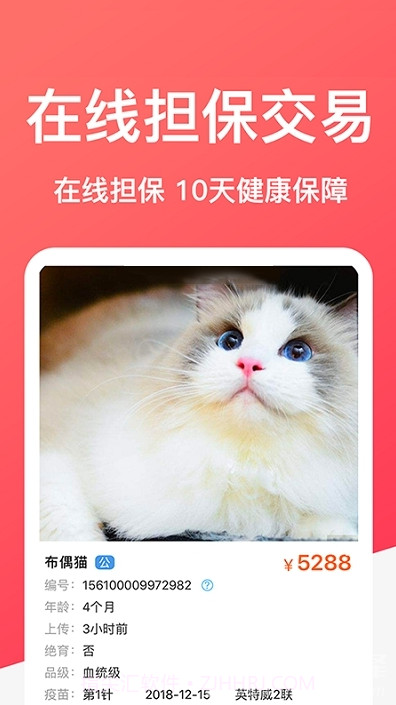 Dog Breeds狗品种(拍照辨识狗狗品种工具)V1.1 安卓手机版截图3