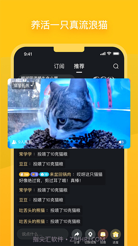哈啰街猫手机版截图2 哈啰街猫手机版截图2