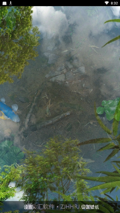 锦鲤鱼池3D动态壁纸（鱼池）截图4