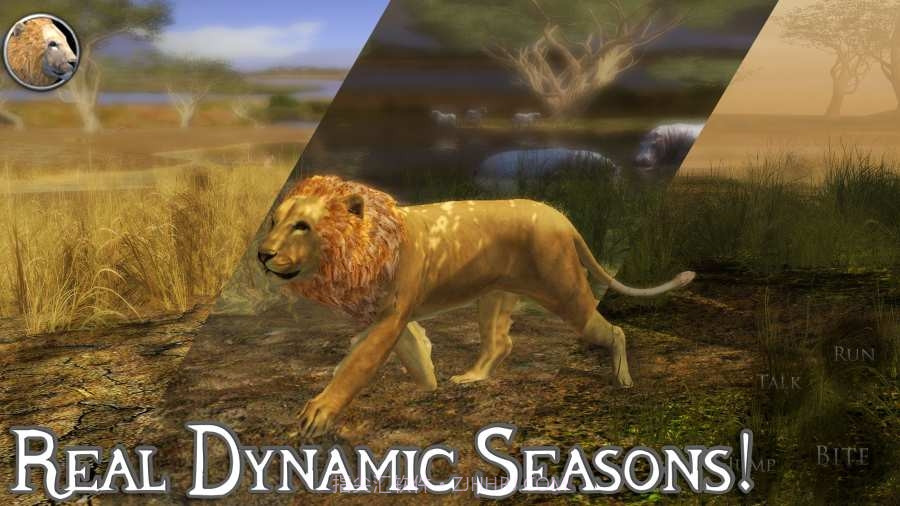 终极狮子模拟器无限经验免费版截图1