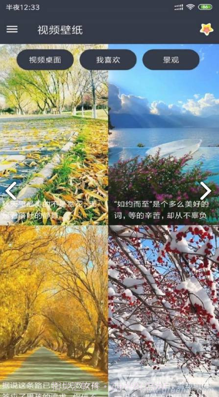 VideoWallpaper(videowallpaper小米)V3.2.3 安卓中文版截图3