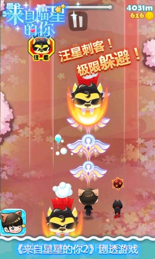 来自喵星的你截图3