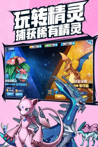 宠物超进化最新版截图3