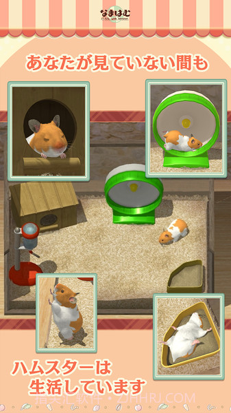 云仓鼠最新版截图2