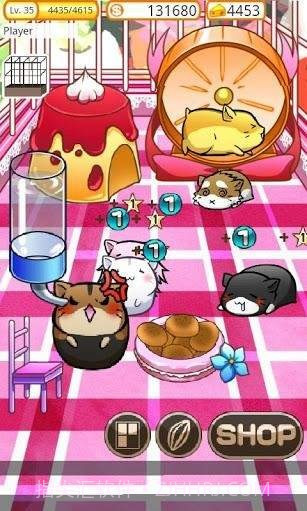 模拟宠物仓鼠的生活截图2 模拟宠物仓鼠的生活截图2