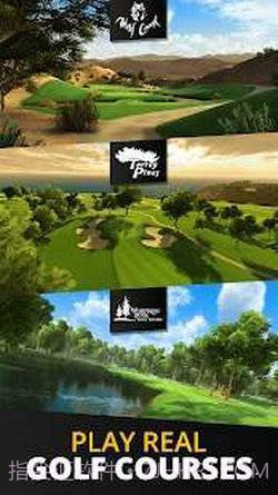 终极高尔夫截图1