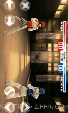 跆拳道大奖赛单机版截图3 跆拳道大奖赛单机版截图3