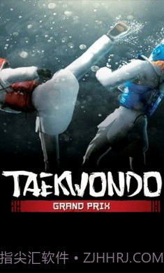 跆拳道大奖赛单机版截图2 跆拳道大奖赛单机版截图2