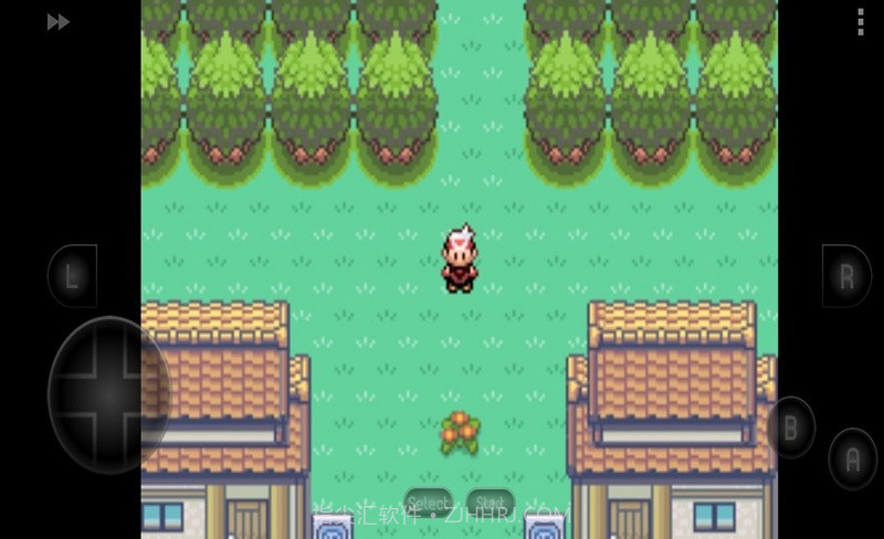 口袋妖怪漆黑的魅影截图4 口袋妖怪漆黑的魅影截图4